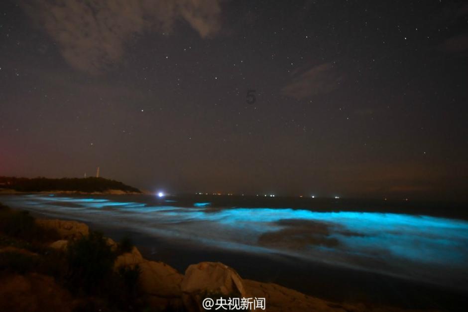 安科瑞首个有序充电运营场站落成-安科瑞潘丽
