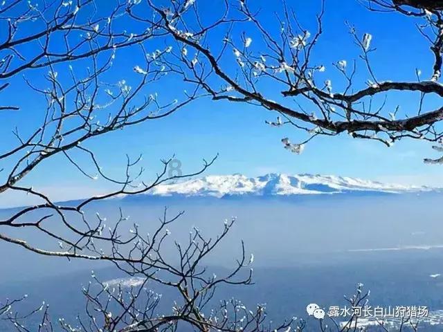 永川国际高星级品牌酒店+1 将为文旅业发展赋能添力