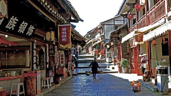 动物帮帮忙保卫家园